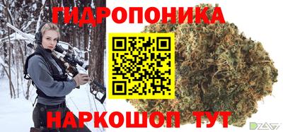 индика Комсомольск-на-Амуре
